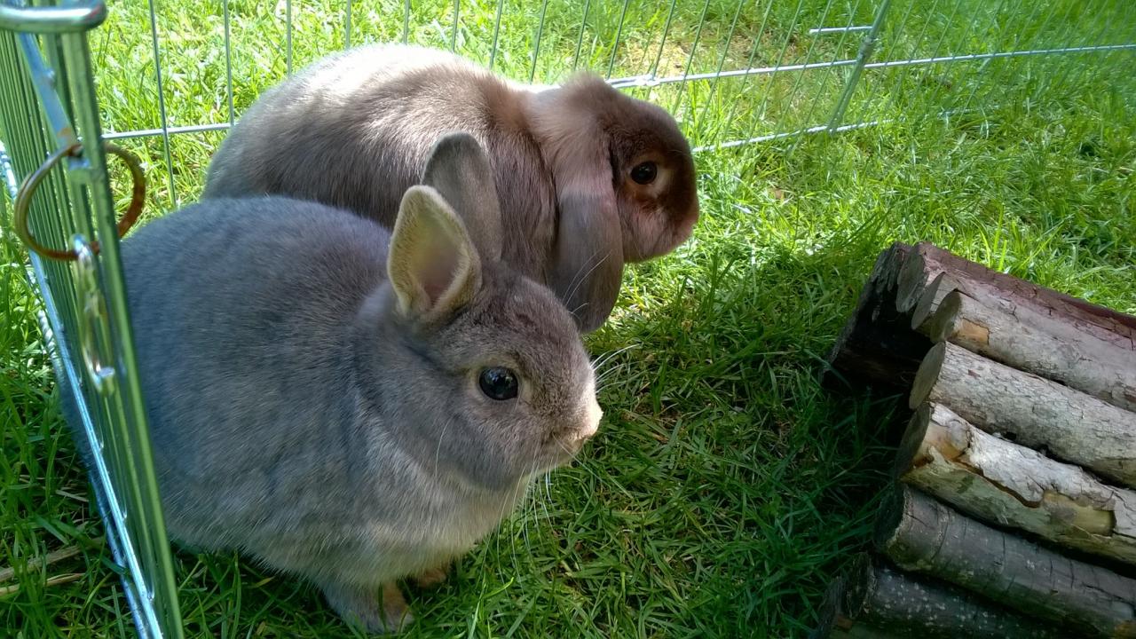 Boubou & Ninette