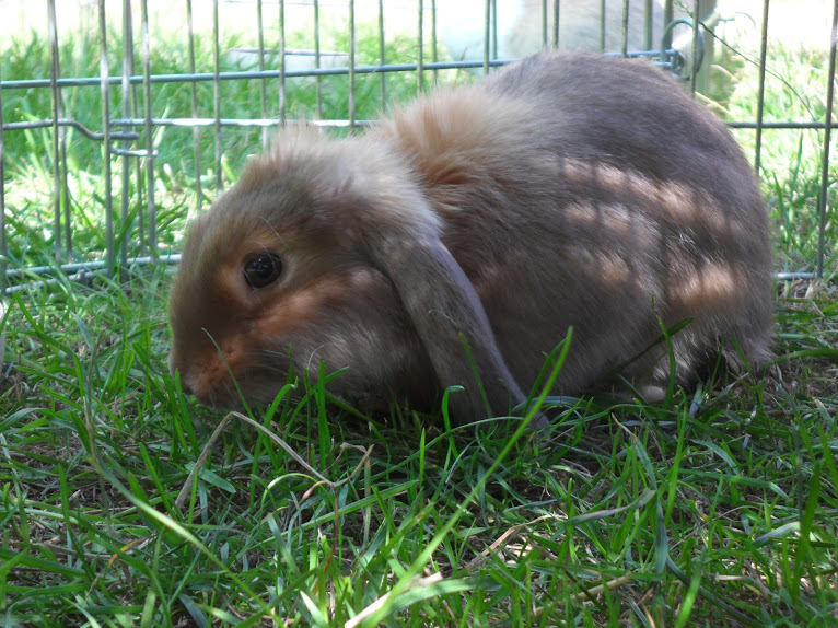 Boubou, 4 mois !